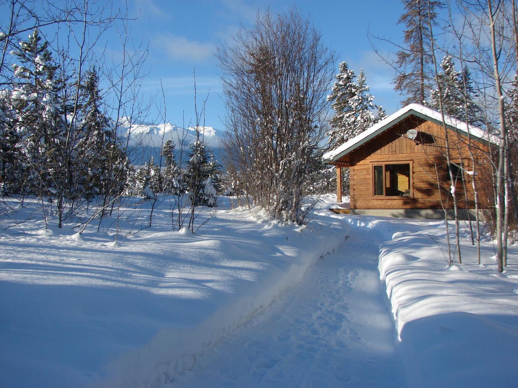 Mica Mountain Lodge & Log Cabins Tête Jaune 외부 사진
