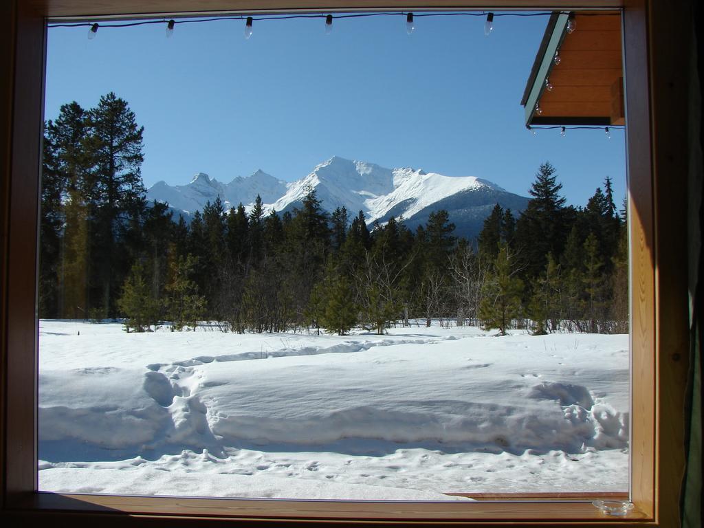 Mica Mountain Lodge & Log Cabins Tête Jaune 객실 사진