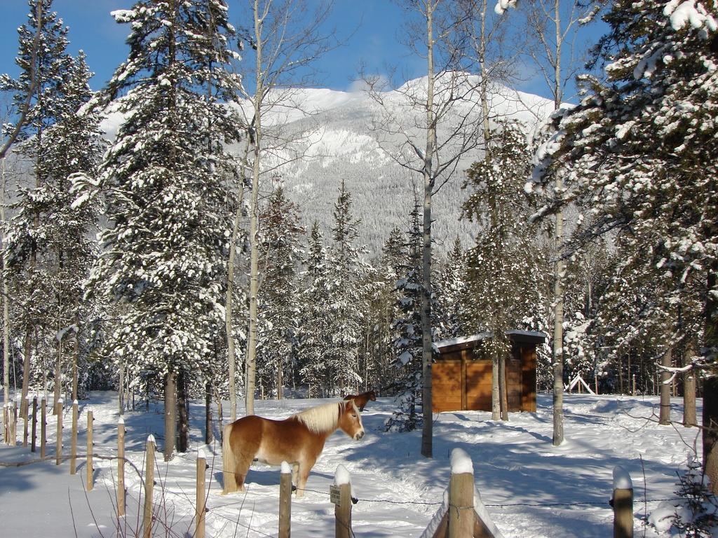 Mica Mountain Lodge & Log Cabins Tête Jaune 외부 사진