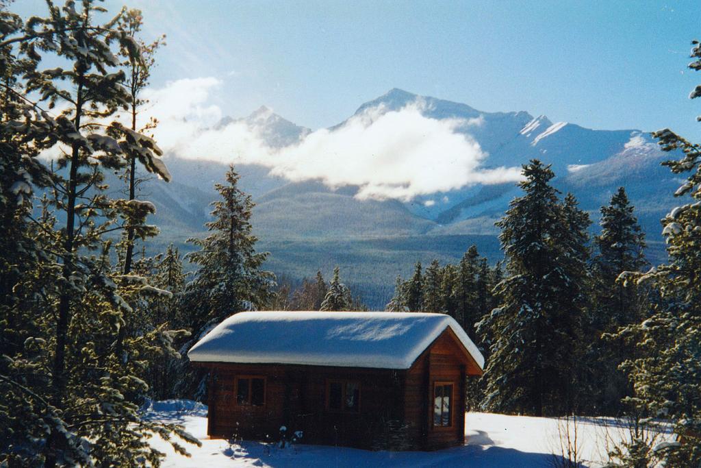 Mica Mountain Lodge & Log Cabins Tête Jaune 외부 사진
